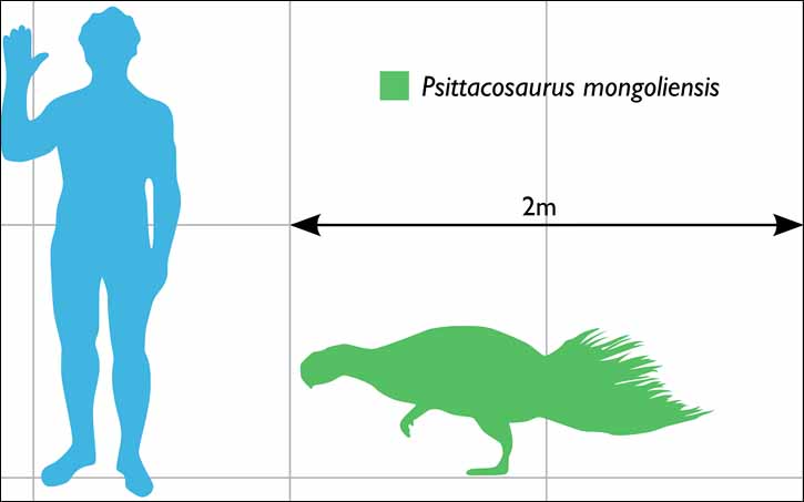 Kulinda, dinosaurs site in Chita, psittacosaurus