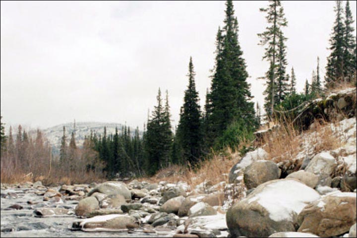 Yeti in Siberia