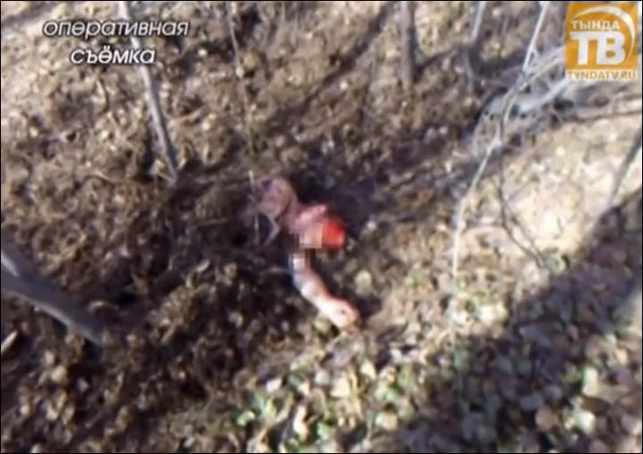 Woman attacked by bear