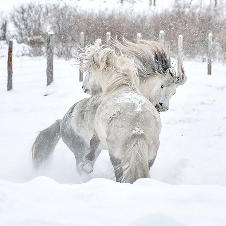 Schoolteacher captivates the world with stunning pictures from the heart of Russia’s coldest region