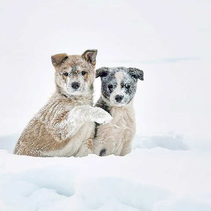 Schoolteacher captivates the world with stunning pictures from the heart of Russia’s coldest region