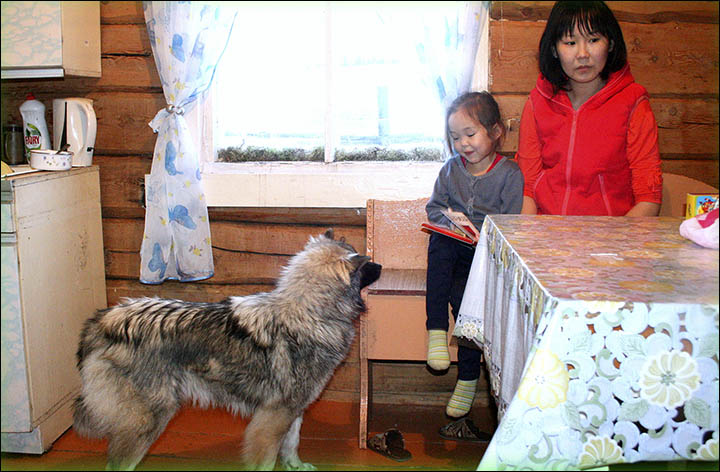 Girl lost for 12 days in Siberian wilderness looks forward to Xmas with dog that saved her