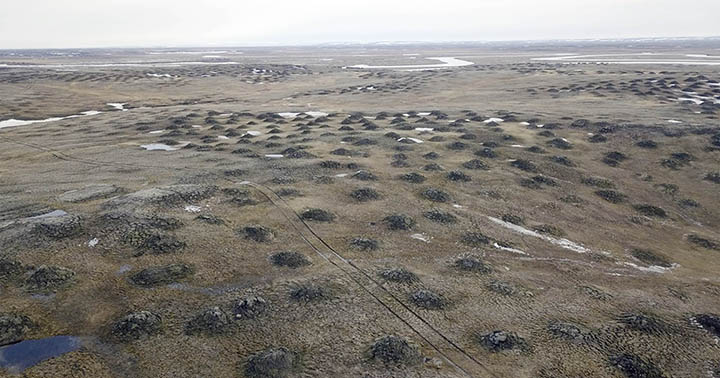 World’s northernmost Palaeolithic settlement found on Kotelny island in the Arctic