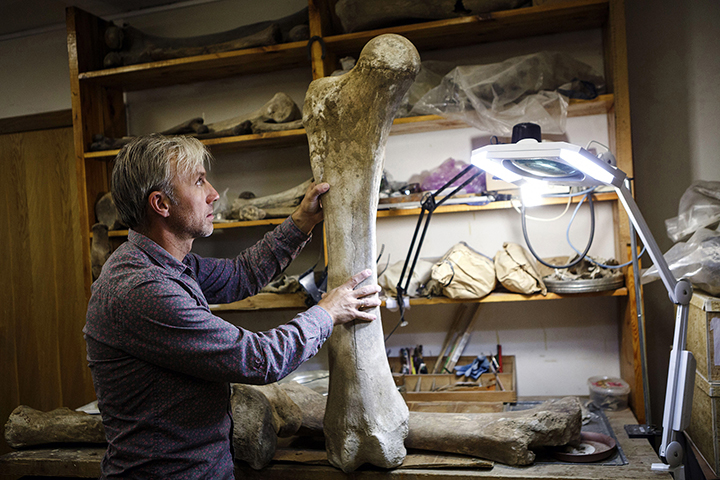 Palaeolithic ‘Matryoshka’ made from a mammoth bone and skull of Arctic fox is found in Siberia