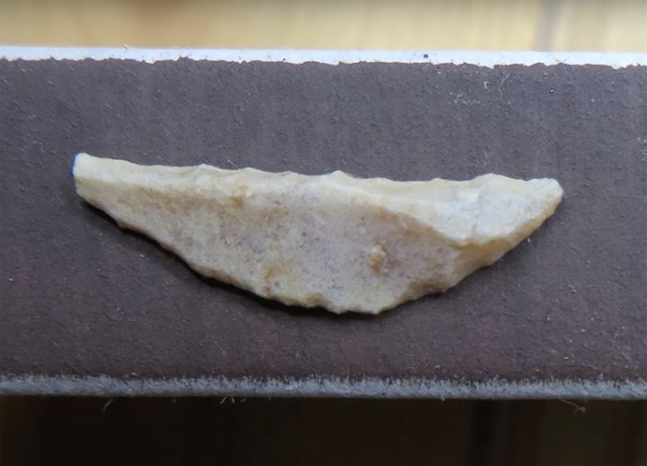 Palaeolithic ‘Matryoshka’ made from a mammoth bone and skull of Arctic fox is found in Siberia