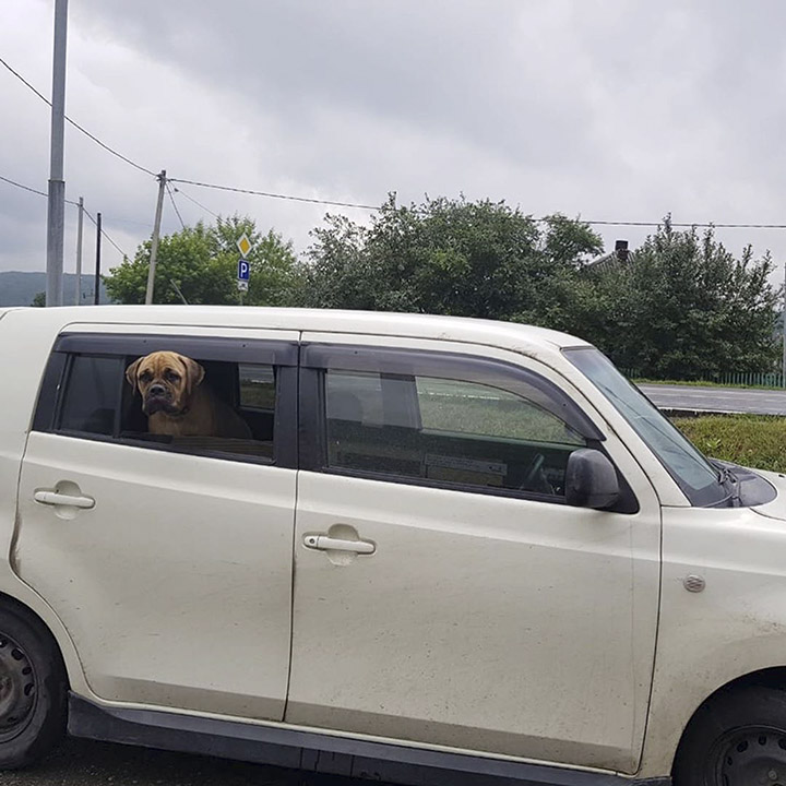 Maru on the way to Novosibirsk with Alyona Makhova
