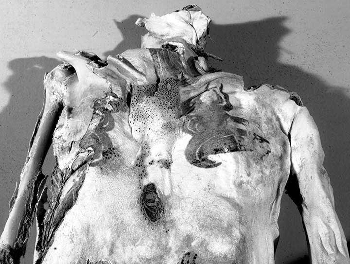 Tattoos on the male's back