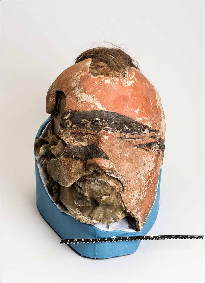 Male mask