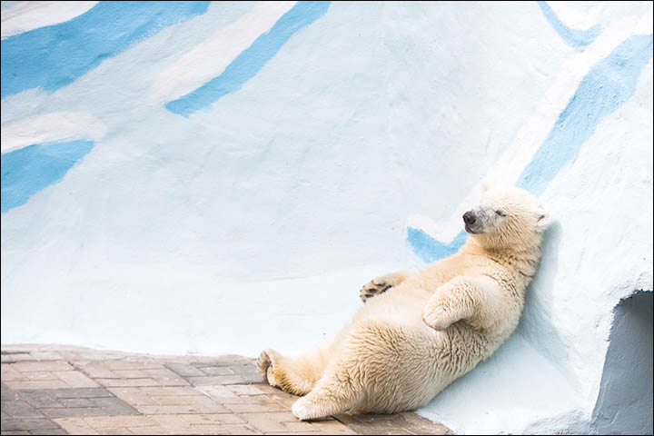 Relax, you are in Siberia