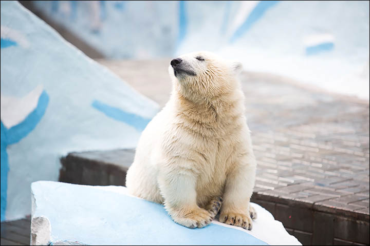 Relax, you are in Siberia