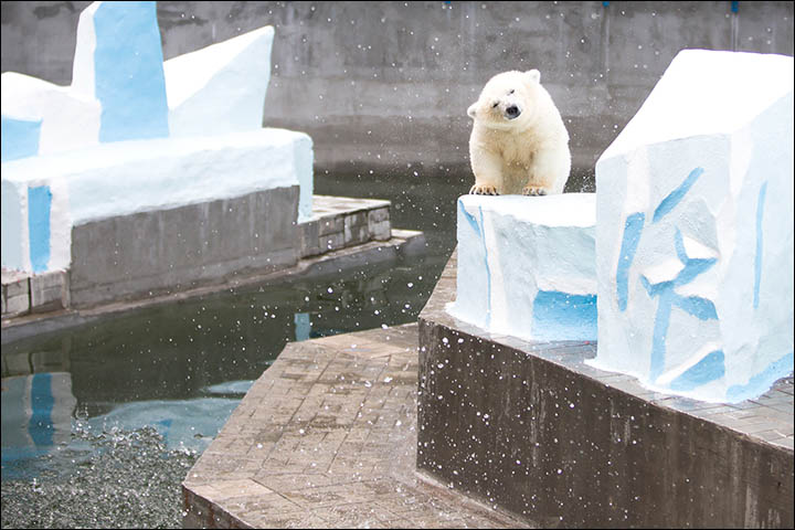 Relax, you are in Siberia