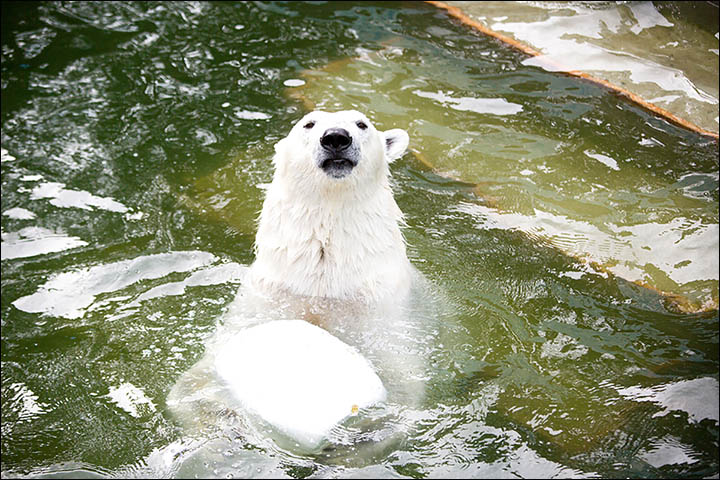 Relax, you are in Siberia