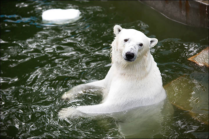 Relax, you are in Siberia