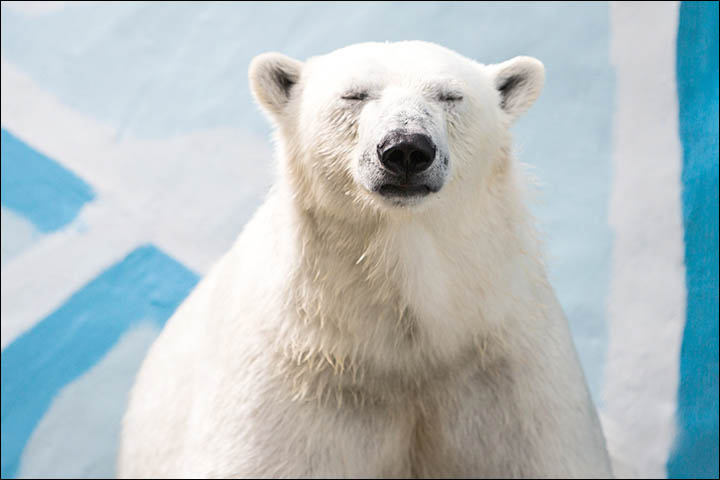 Relax, you are in Siberia