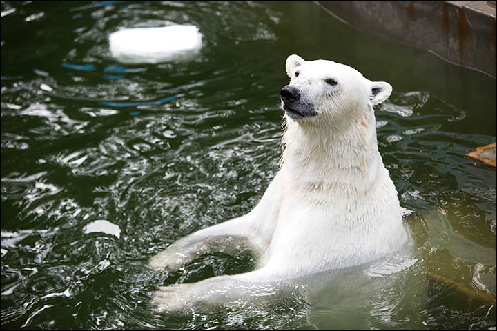 Relax, you are in Siberia