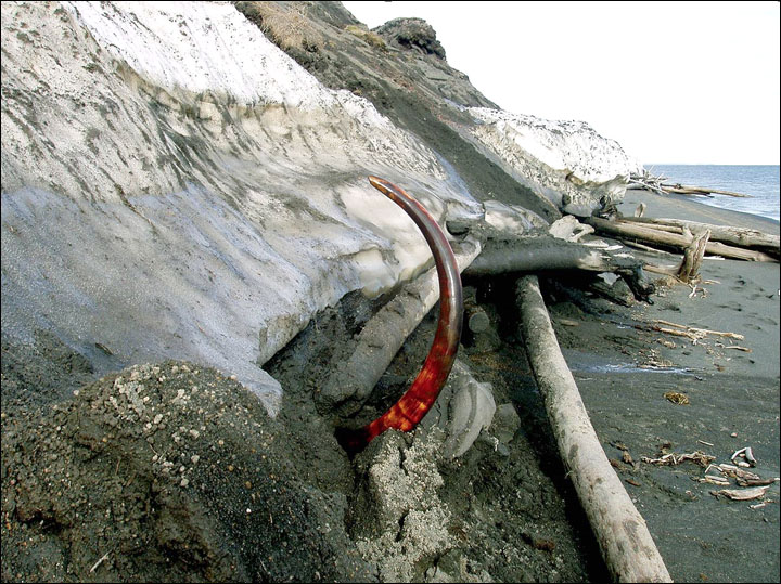 Russia is to lose its permafrost, minister of natural resources warns