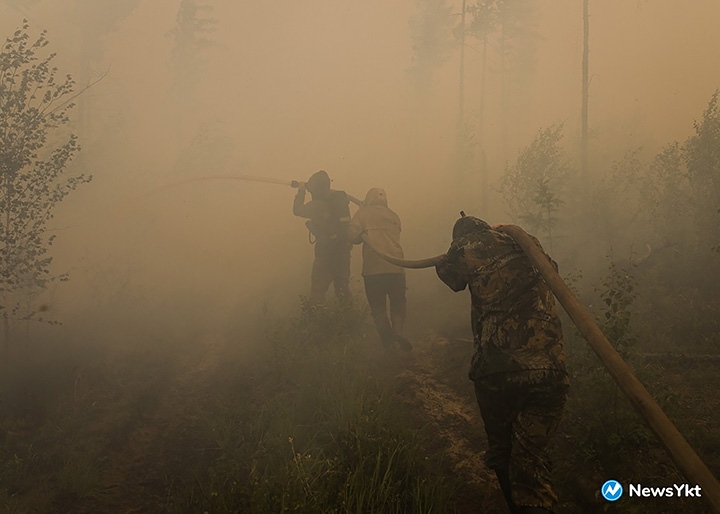 Volunteer and professional firefighters 