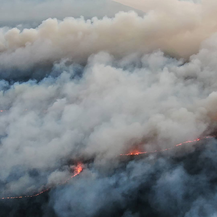 Lena Pillars wildfire