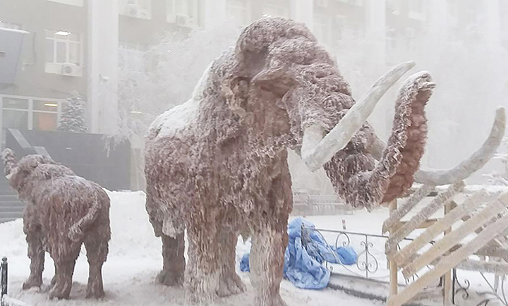 We’re back' - woolly mammoths reappear in Siberia.
