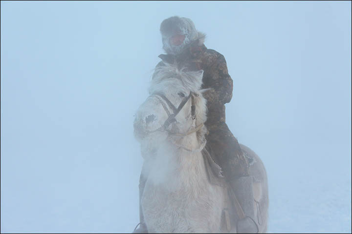 Riding horse in winter