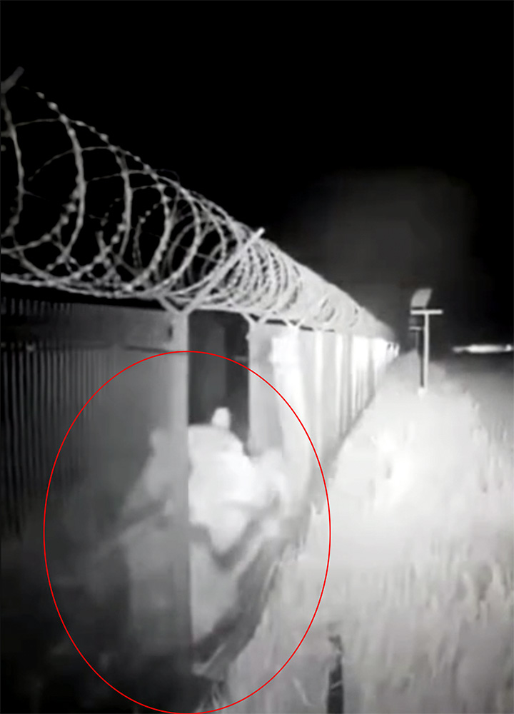Bear storms the fence 