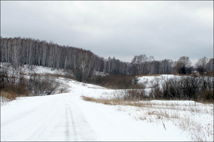 British baby enjoys her first sleigh rides in remote Siberian village where she is being raised 