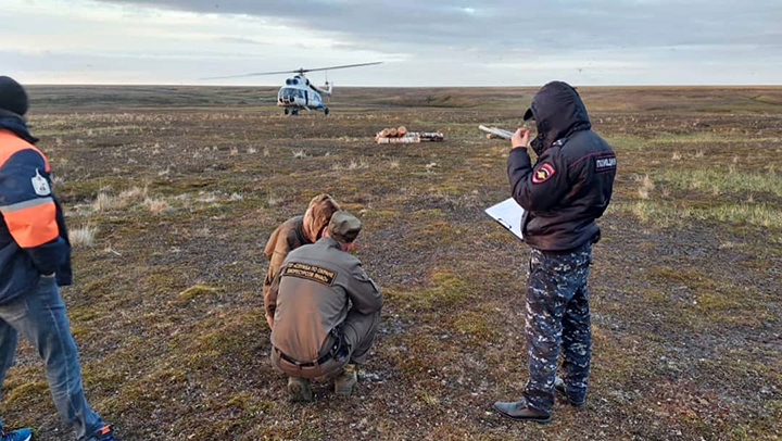 Helicopter deployed to scare aggressive polar bears from reindeer settlements on Yamal peninsula 
