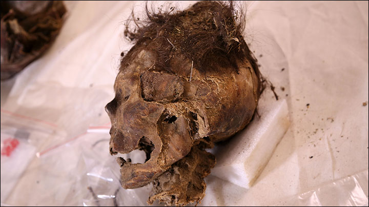 Ancient mummy with 1,100 year old Adidas boots died after she was struck on the head