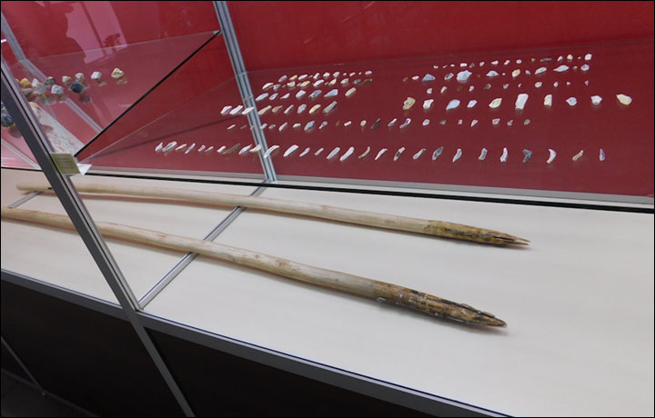 Mammoth spear from Kostenki