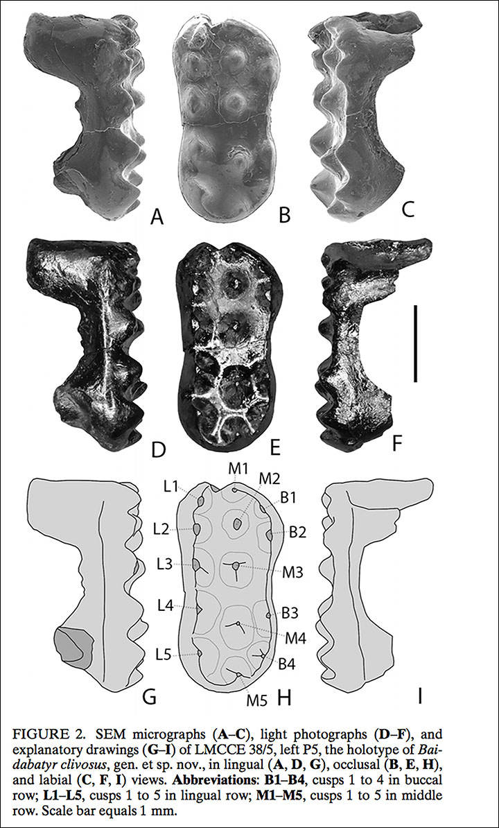 http://www.tandfonline.com/doi/full/10.1080/02724634.2017.1293070