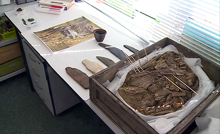 The Birdman of Siberia: sensational finds in the heart of Russia