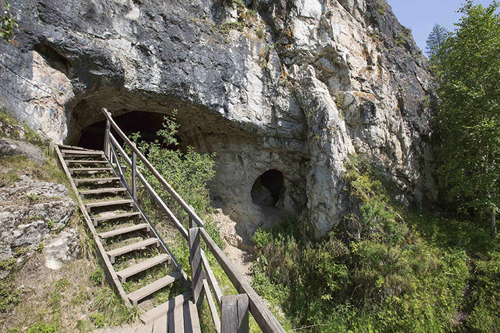 Cave lion figurine made of woolly mammoth tusk found at Denisova Cave 