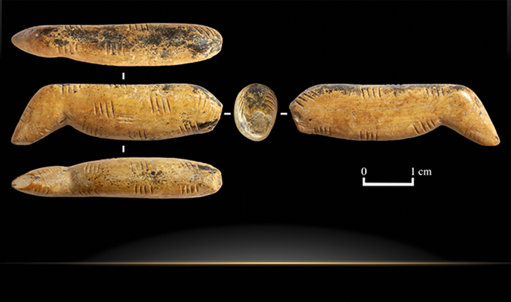 Cave lion figurine made of woolly mammoth tusk found at Denisova Cave 