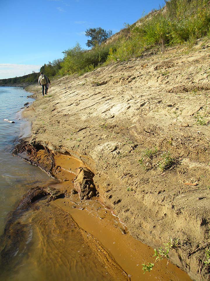 Irtysh river bank