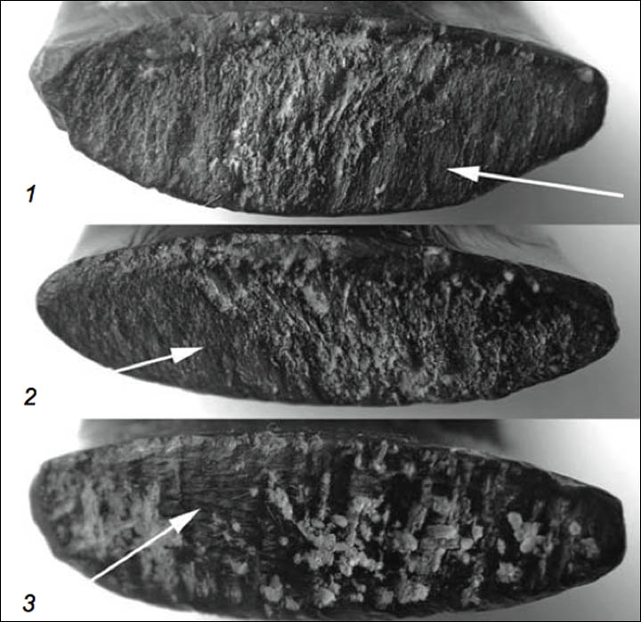 Denisovan bracelet