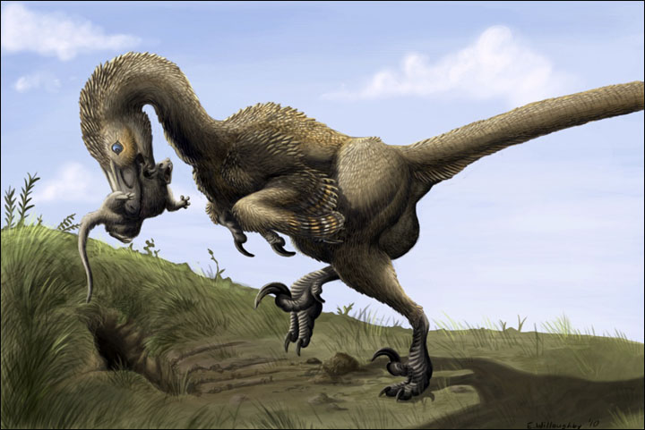 Dromaeosauridae