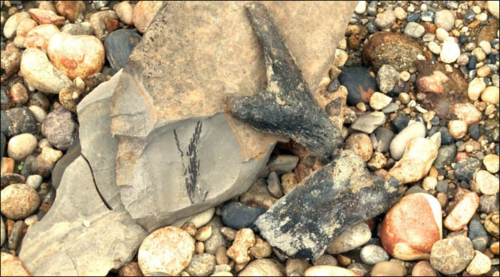 Finds