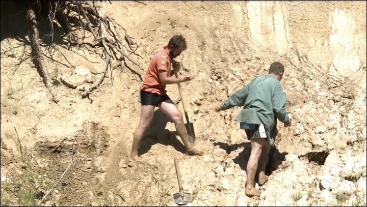 Dinosaurus site