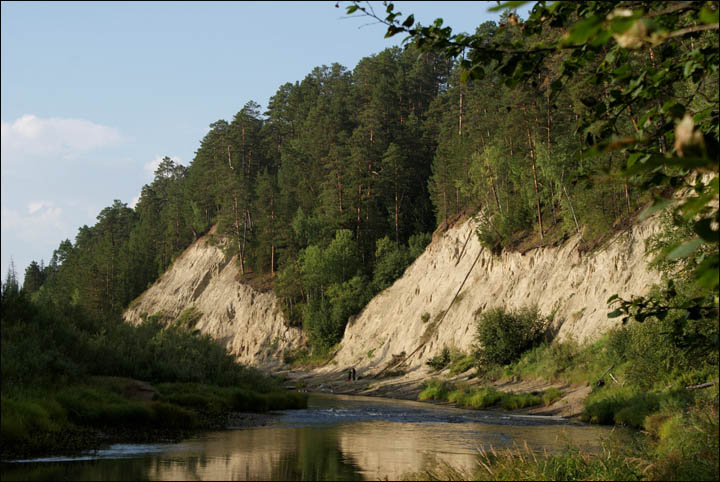 Dinosaurus site