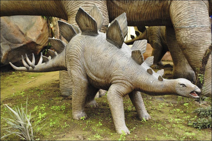 Stegosaurus