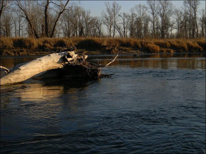 Abakan riverbank near the site