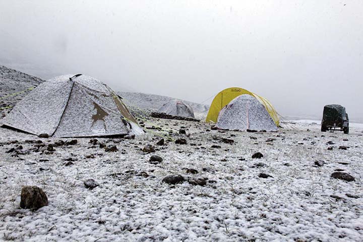 Expedition to Mongolia in 2019