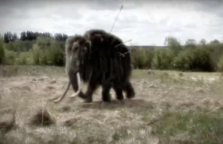 New tests underway on the ‘Mona Lisa of geo-archeology’ - a bone that proves man hunted the woolly mammoth.