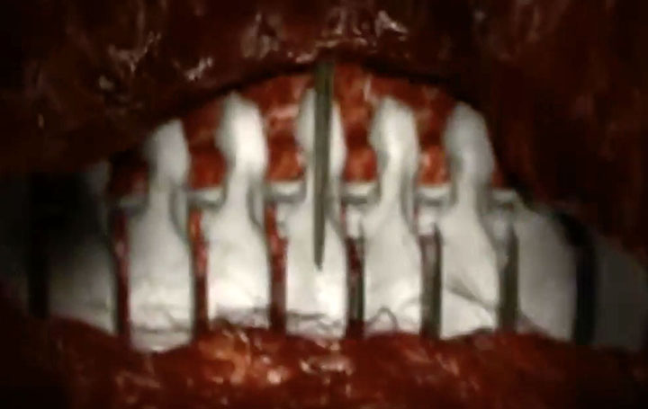 New tests underway New tests underway on the ‘Mona Lisa of geo-archeology’ - a bone that proves man hunted the woolly mammoth.on the ‘Mona Lisa of geo-archeology’ - a bone that proves man hunted the woolly mammoth.