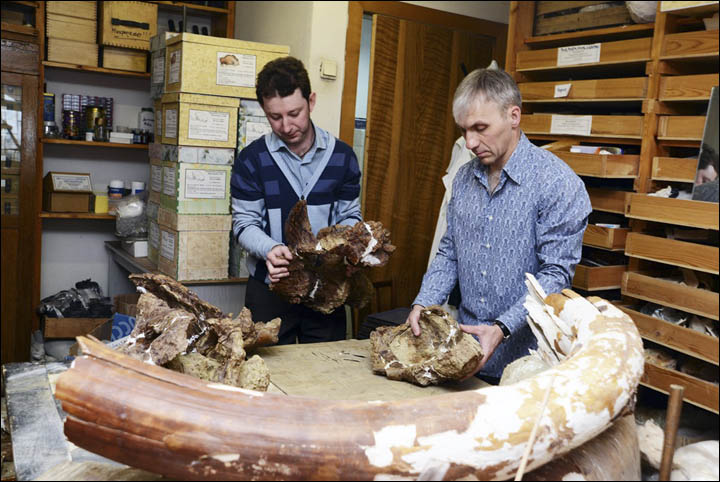 New Titanosaur
