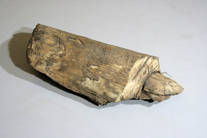 Tool blank made of mammoth's tusk
