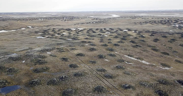 Kotelny Island
