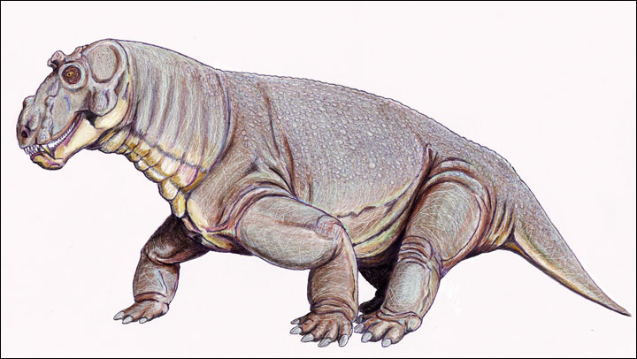 Estemmenosuchus uralensis