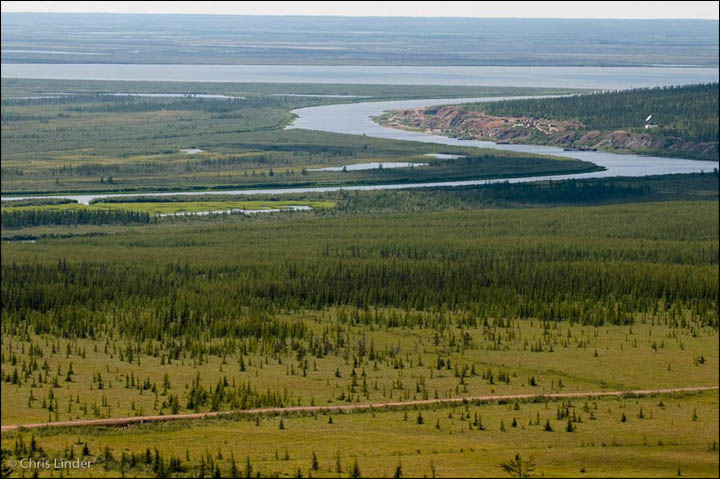 Pleistocene Park
