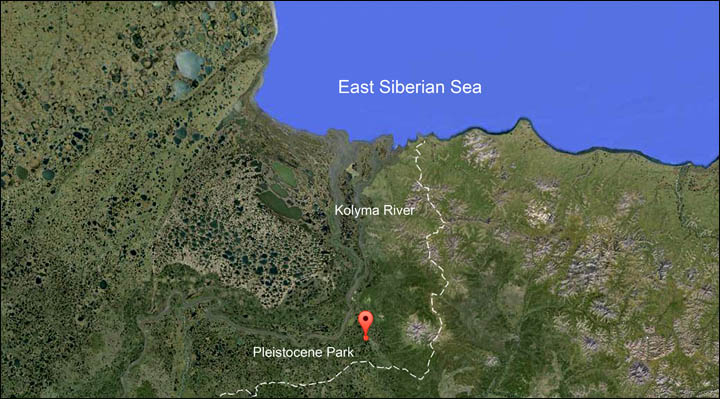 Pleistocene Park